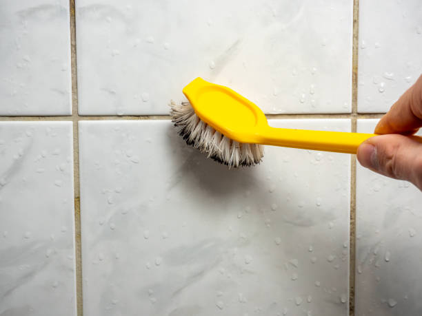 Best Mold Testing  in Norwood, PA