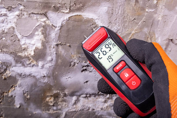 Best Crawl Space Mold Removal  in Norwood, PA