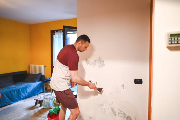 Norwood, PA Mold Removal Company